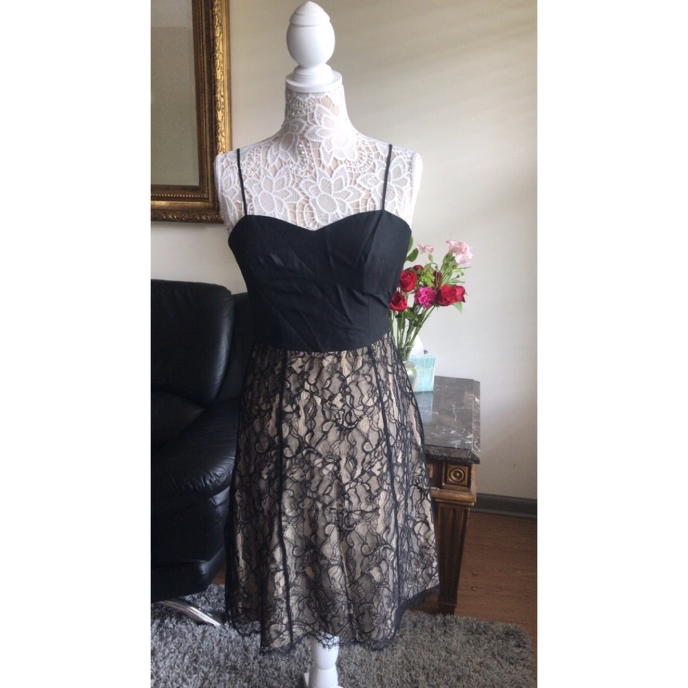 Ann Taylor Silk & Lace Dress